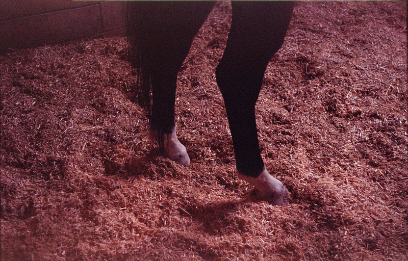 Illustration for article titled Some film scanned with the coolscan 4